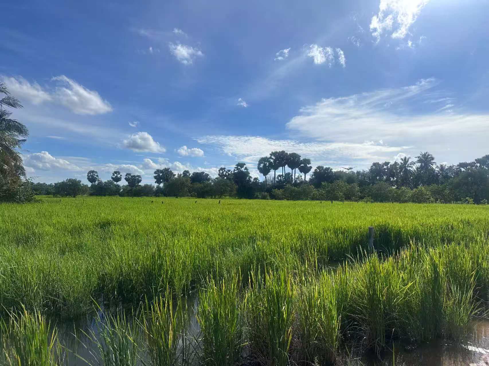 公司业务展示图